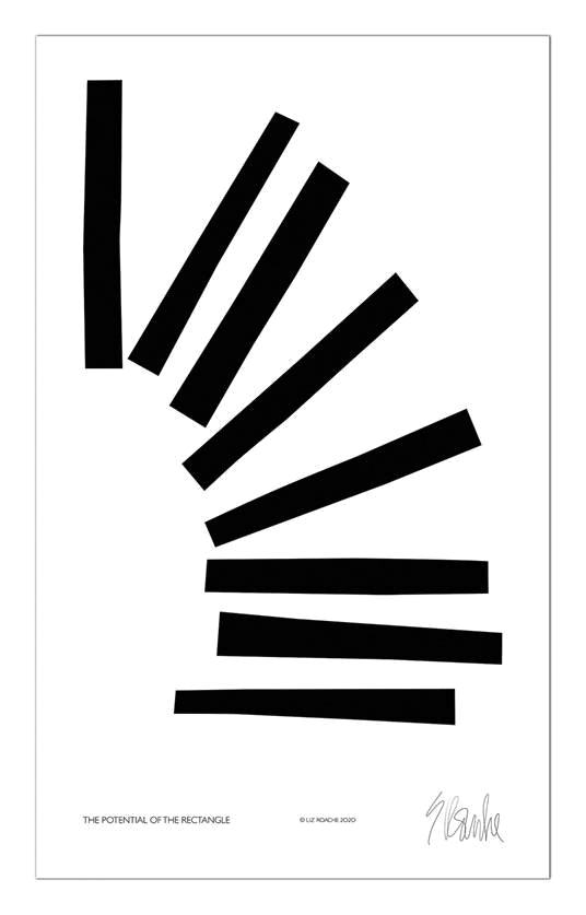W-DWR_2517963_100177040_potential_of_rectangle_f.jpg